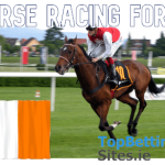 Understanding horse racing form